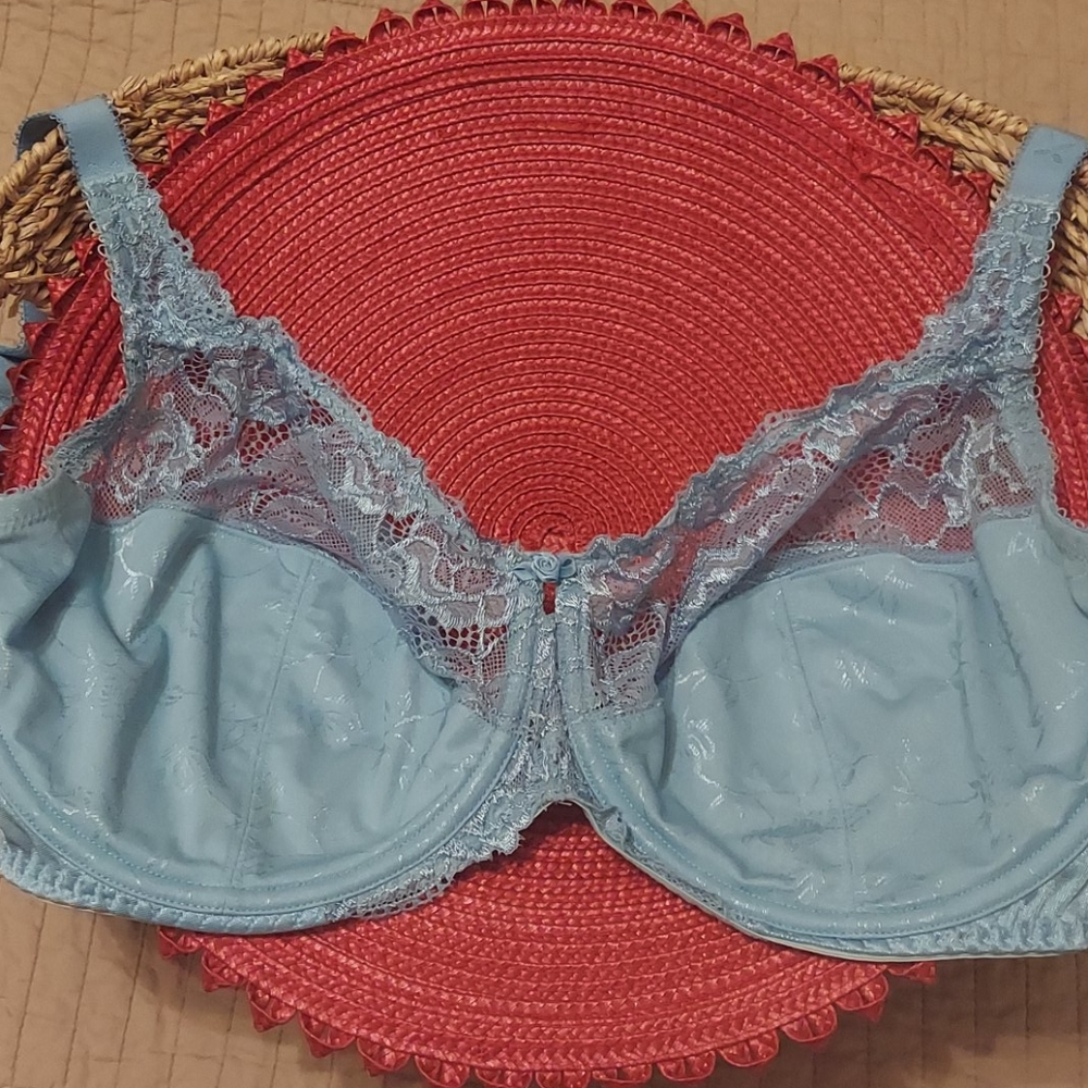 Lace Underwire Bra size 34g